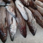 barcelona_stock_fotos012