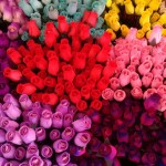 barcelona_stock_fotos013