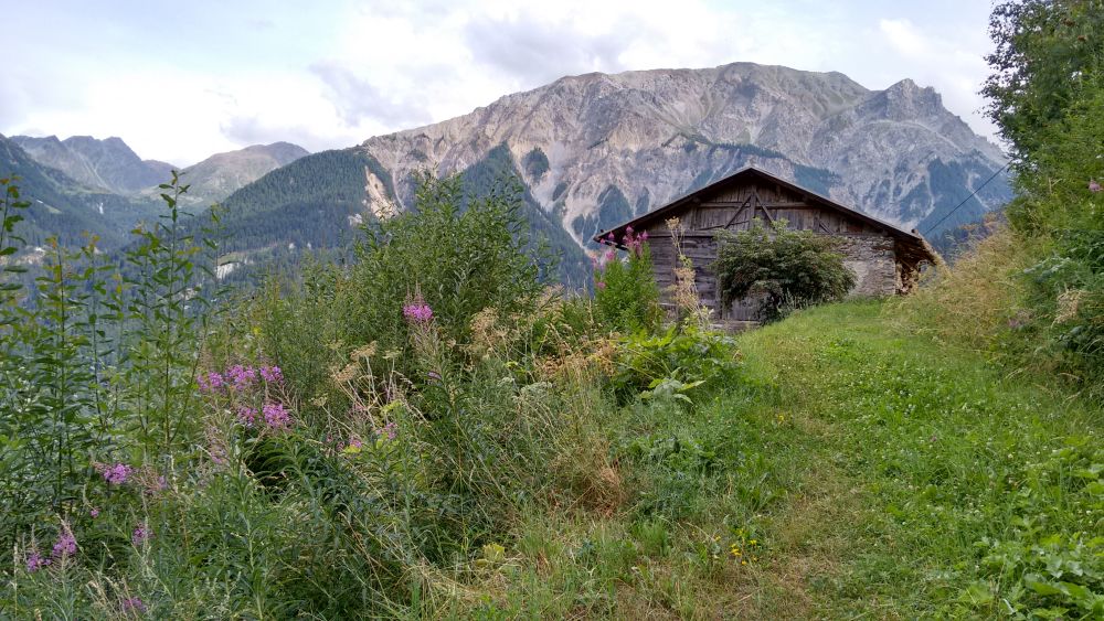 Valchava_Schweizerisches_Paradies_fuer_Digitale_Nomaden008