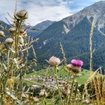 Valchava_Schweizerisches_Paradies_fuer_Digitale_Nomaden014