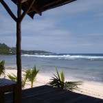 bamboo_gardens_siargao_islands_2016_02