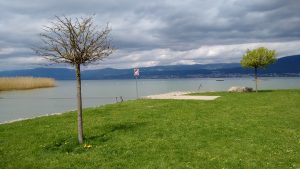 IMG_20180426_112848810