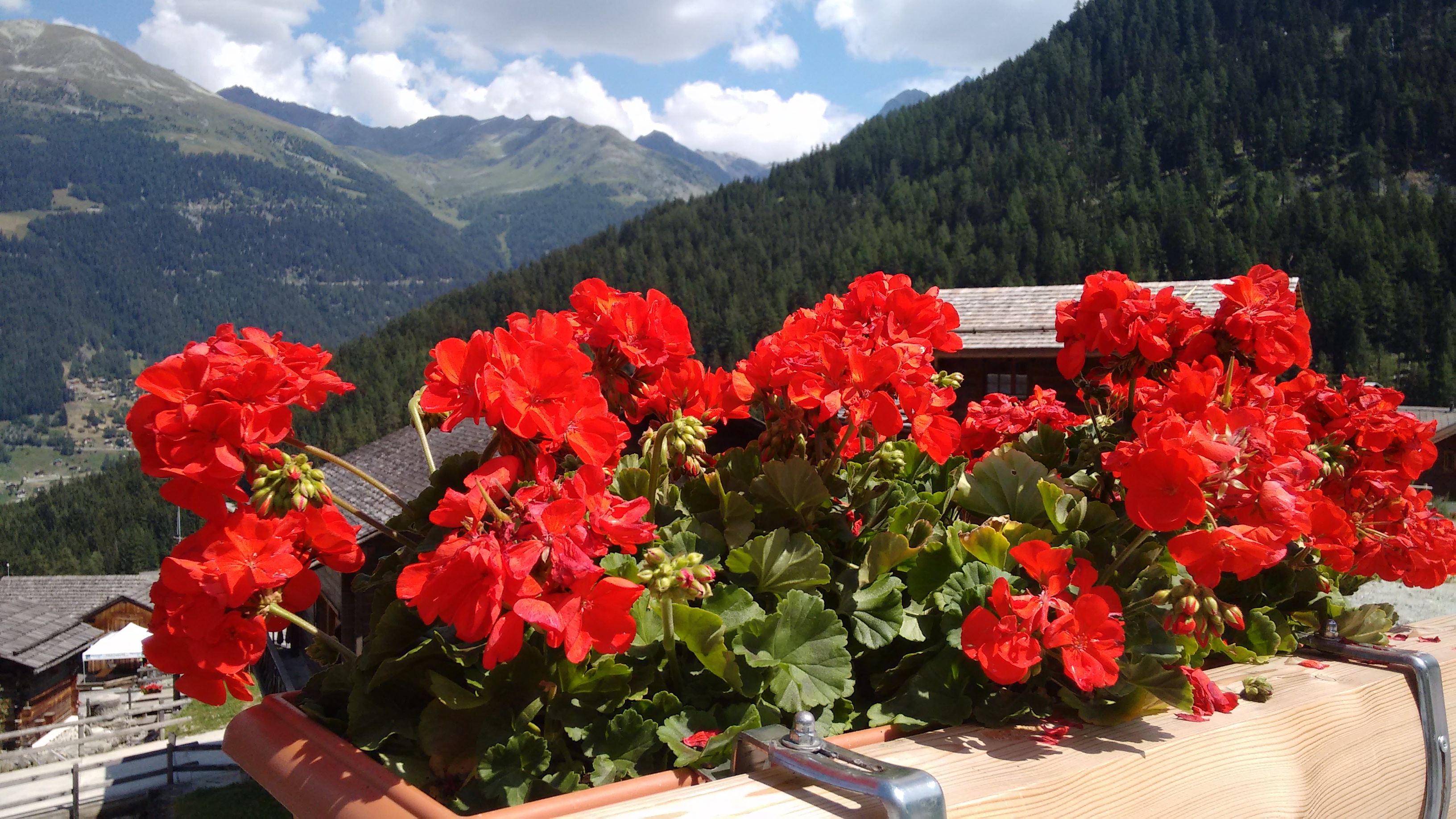 Grimentz
