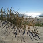 IMG_20200731_173909446