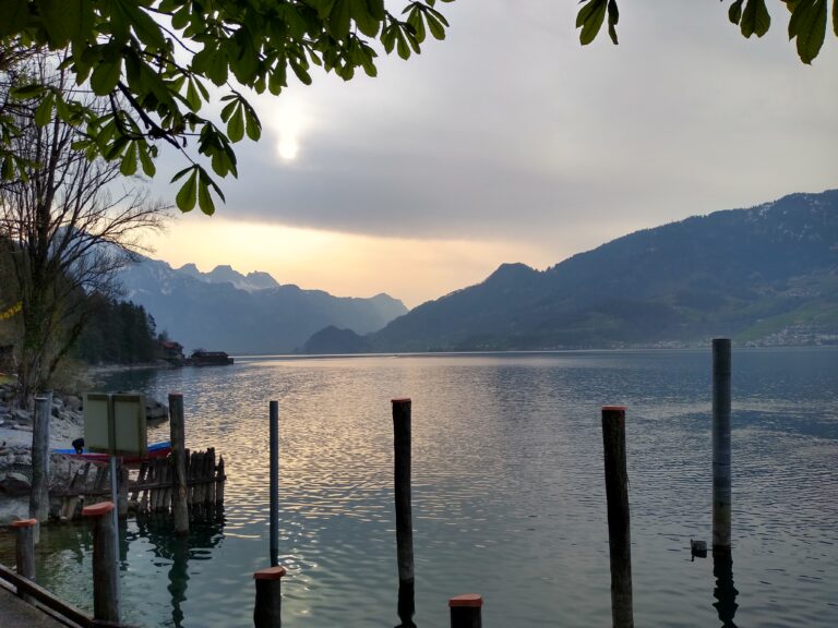 IMG_20220329_085637577_HDR