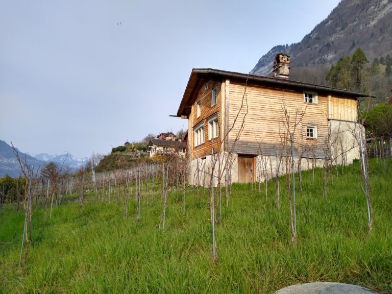 IMG_20220329_092105372_HDR