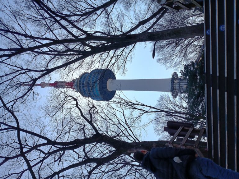 IMG_20240313_103943925_HDR