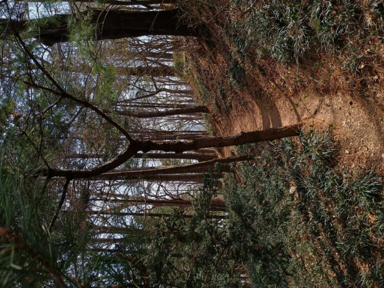 IMG_20240324_105859912_HDR