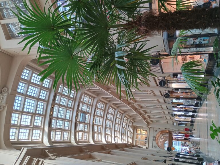 IMG_20240807_152934693_HDR