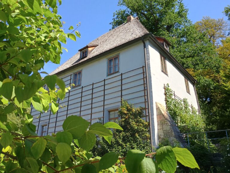 IMG_20250811_121232154_HDR