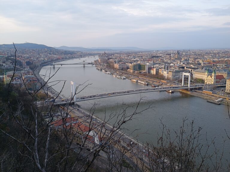 IMG_20260324_171204238